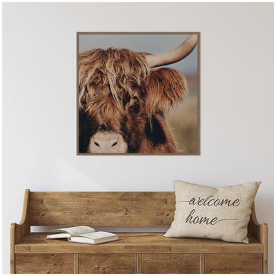 Nosy Highland by Laura Evans Framed Canvas Wall Art Print