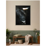 Framed close-up print of a black Highland cow with long shaggy hair and a visible curved light horn, hanging above a wooden bench in a neutral-toned room.