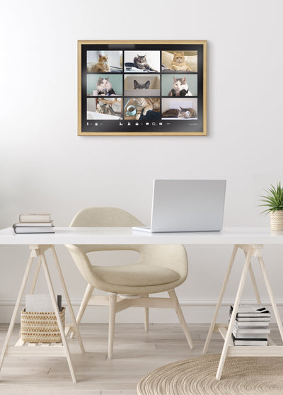 Blake Video Chat Cats Framed Printed Glass by The Creative Bunch Studio by kateandlaurel - product image 7 for Resin Society