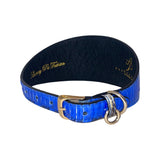Bright blue snake-patterned 3-inch wide collar with gold buckle and silver D-rings, showing textured inner black lining and embossed gold lettering.