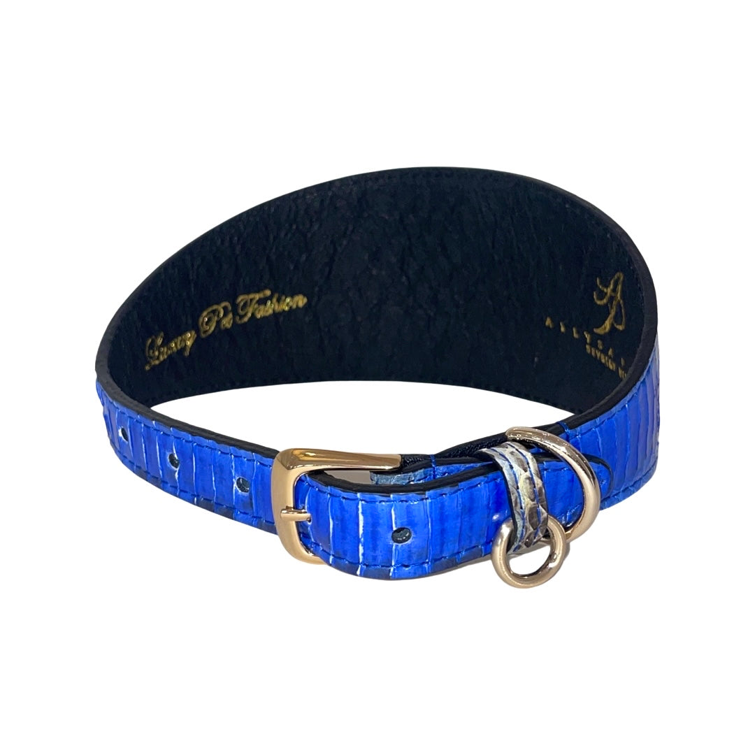 Bright blue snake-patterned 3-inch wide collar with gold buckle and silver D-rings, showing textured inner black lining and embossed gold lettering.
