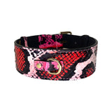 Wide dog collar with a fuchsia, light pink, red, and black snake skin pattern and gold metal buckle and D-ring on a white background