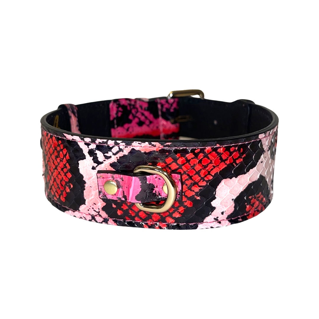 Wide dog collar with a fuchsia, light pink, red, and black snake skin pattern and gold metal buckle and D-ring on a white background
