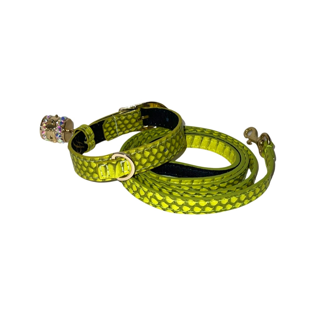 XS 7”-14” Light Neon Green Custom Snake Collar/Custom Gold Italian