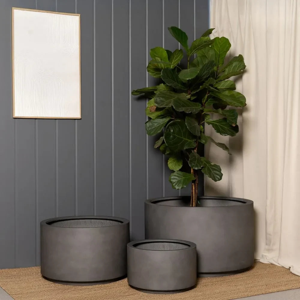 Shoob Cylindrical Planter - The Balcony Garden US
