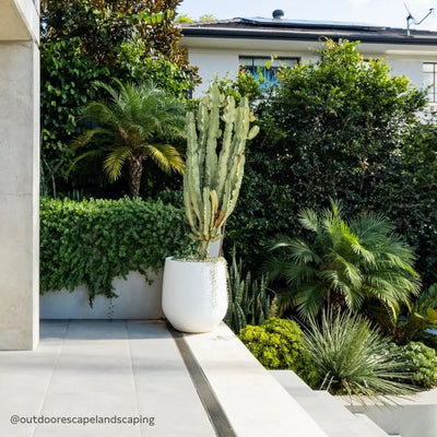 JITT Planter by The Balcony Garden US