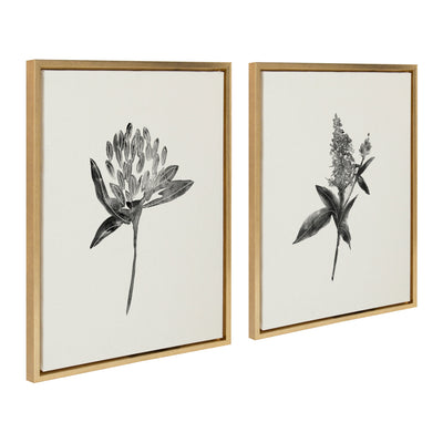 Sylvie Vintage Botanical 1 and 2 Framed Canvas by kateandlaurel - product image 17 for Resin Society