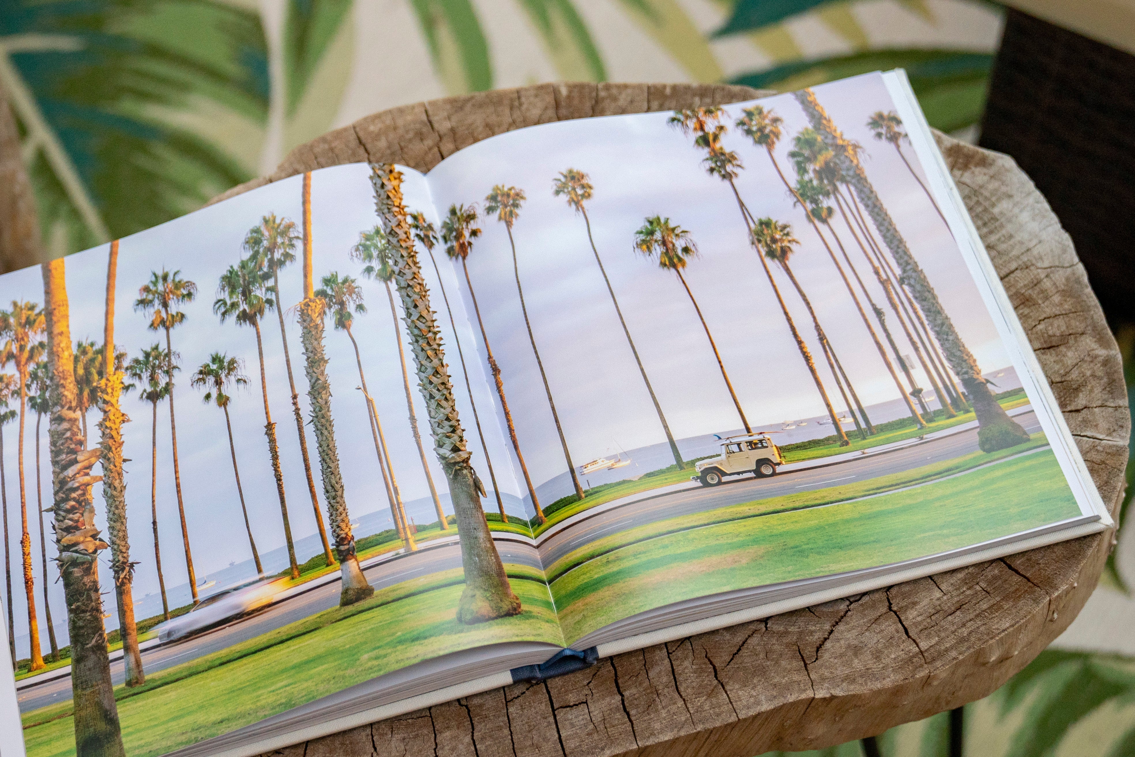 Surf Rides: Rad Rides & Life on the California Coast by Johnny Vacay - product image 9 for Resin Society