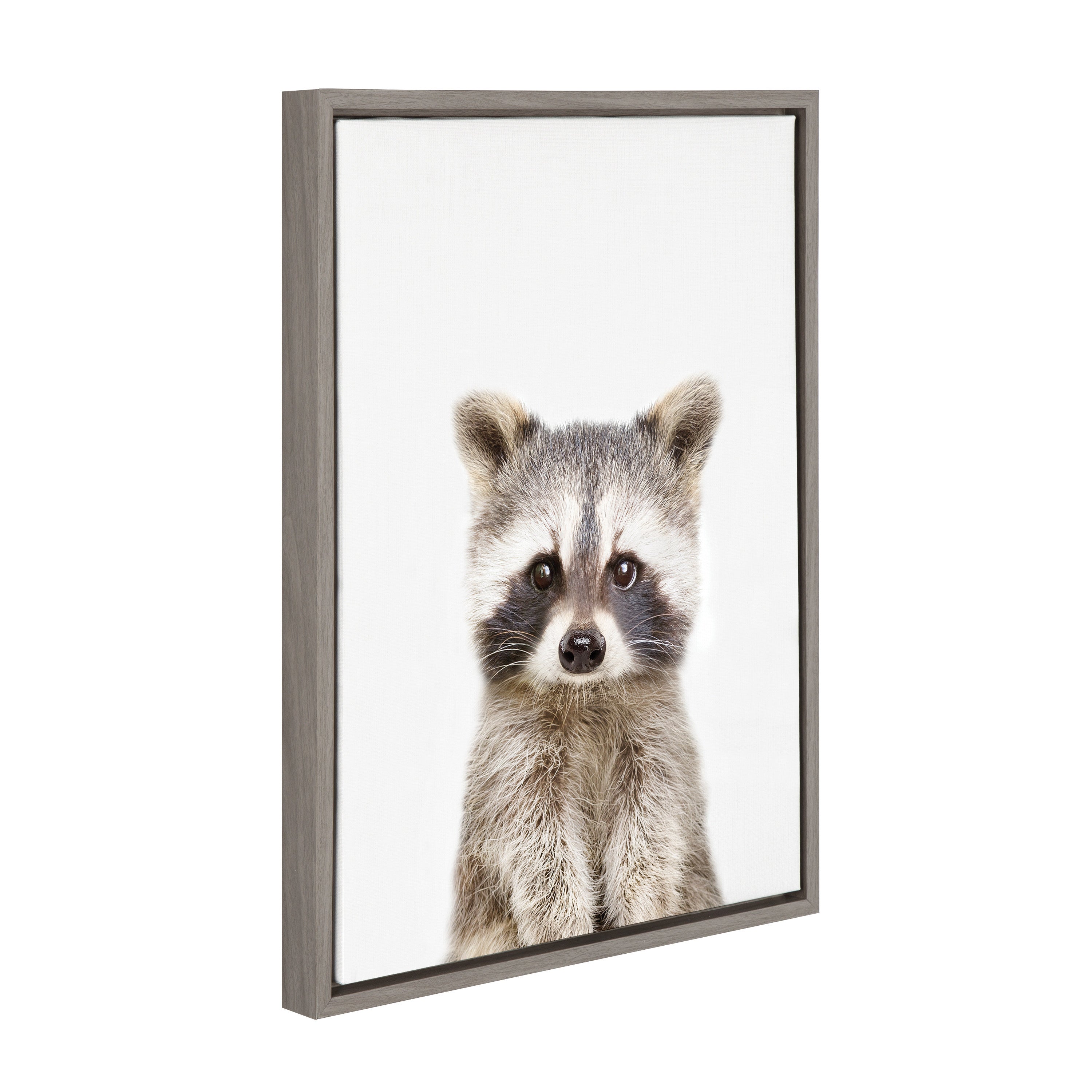 Framed canvas wall art of a baby raccoon by Amy Peterson Art Studio