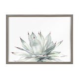 Blake Parrys Agave Framed Printed Glass by kateandlaurel - product image 18 for Resin Society