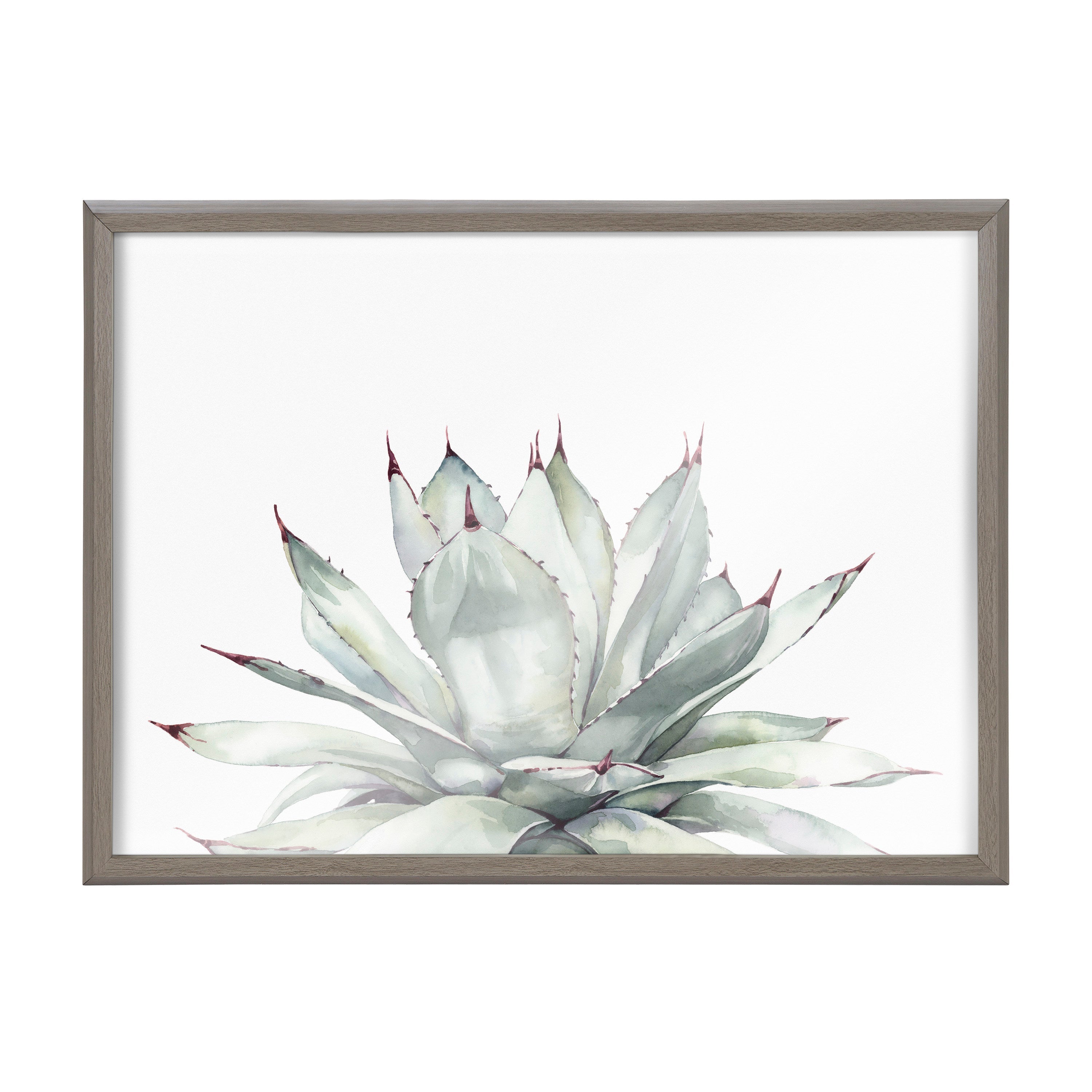 Blake Parrys Agave Framed Printed Glass by kateandlaurel - product image 18 for Resin Society