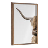 Close crop portrait of a Highland cow printed on glass with polystyrene frame