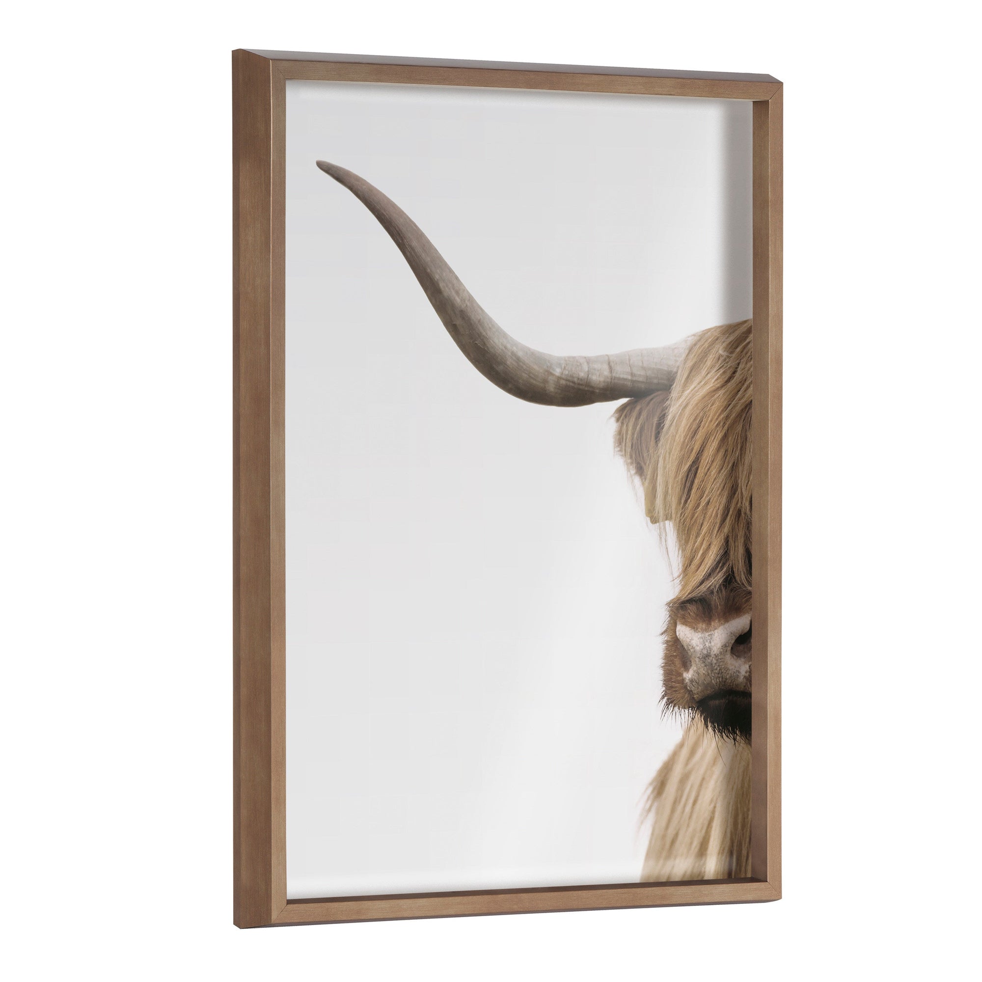 Close crop portrait of a Highland cow printed on glass with polystyrene frame