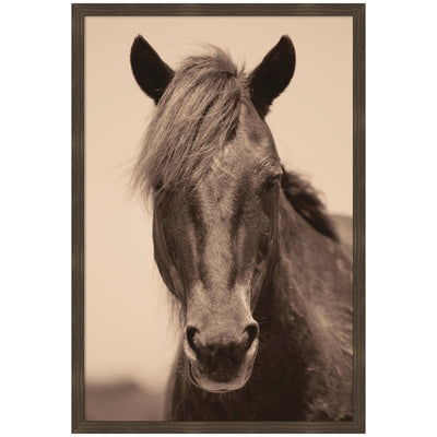 Framed wall art print of an equine horse by Robert Cadloff, in woodgrain stripe chocolate frame