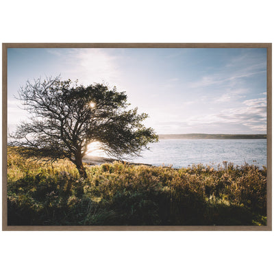 Sylvie Coastal Serene Sunset Tree Landscape Framed Canvas by Patricia Hasz