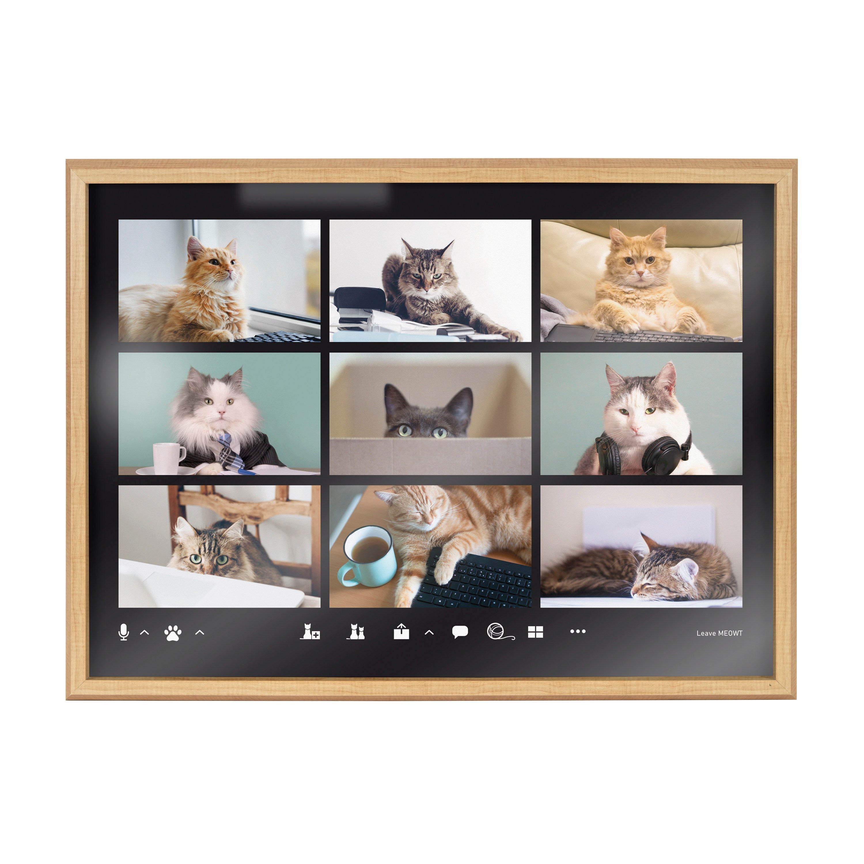 Blake Video Chat Cats Framed Printed Glass by The Creative Bunch Studio by kateandlaurel - product image 2 for Resin Society