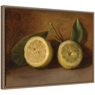 Lemons 1884 George Henry Hall framed canvas wall art print displayed in interior setting