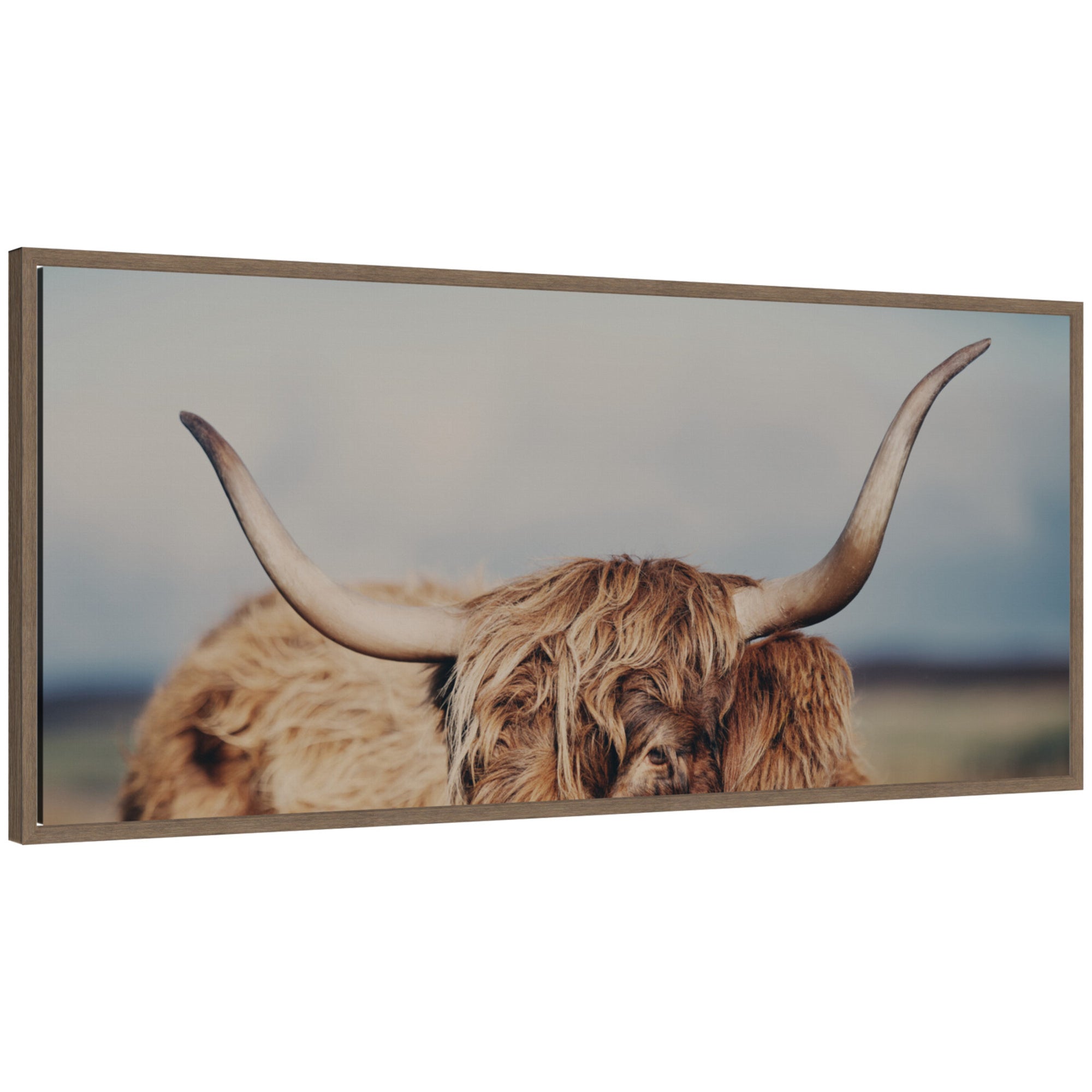 Framed canvas wall art close-up of a Highland cow with long curved horns and shaggy fur by Laura Evans