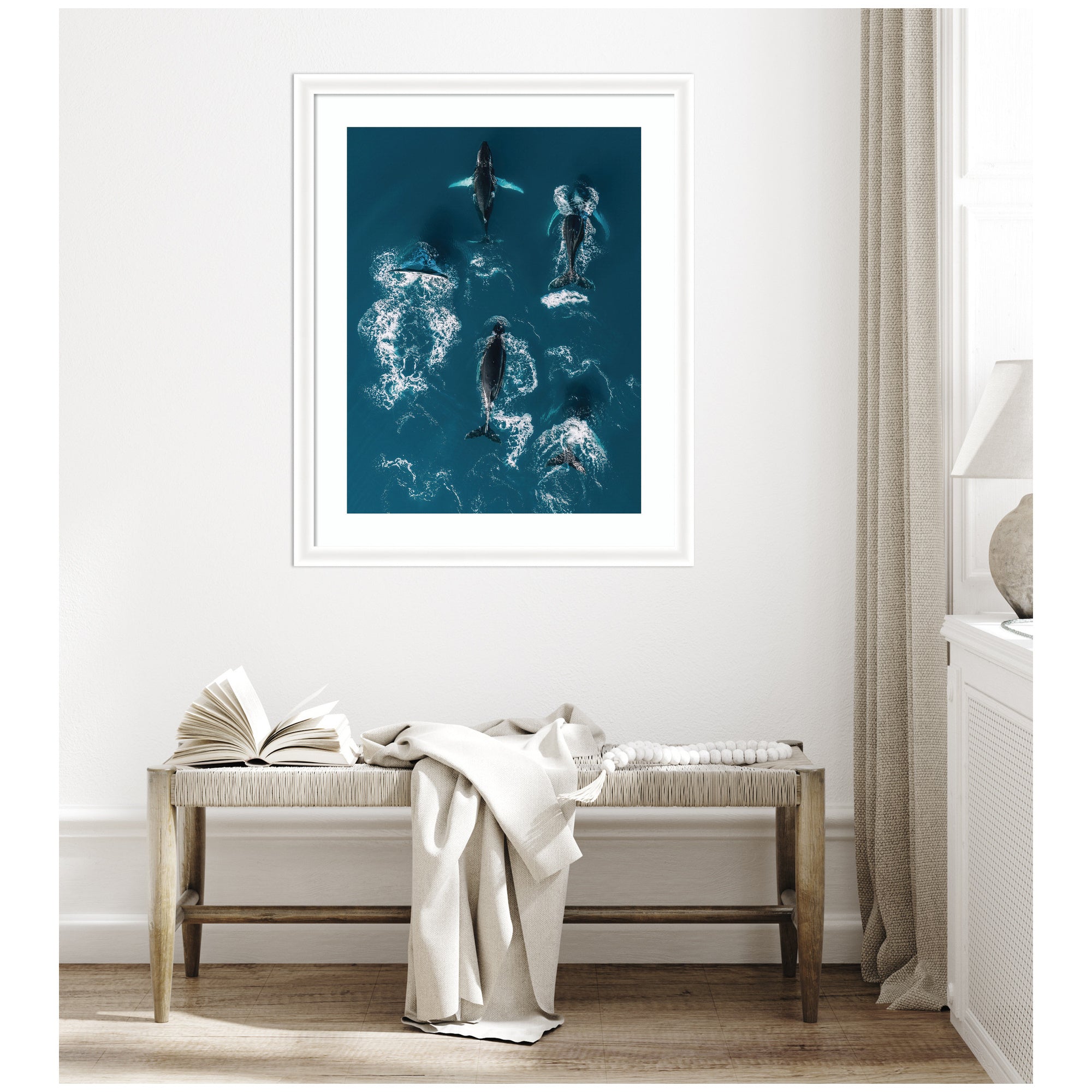 Framed Art School of Humpback Whales in the Blue Ocean by Michael Schauer