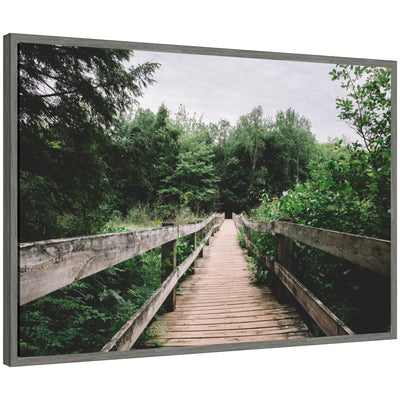 Sylvie Pathway to the Forest Landscape framed canvas art showing a forest pathway scene by Patricia Hasz
