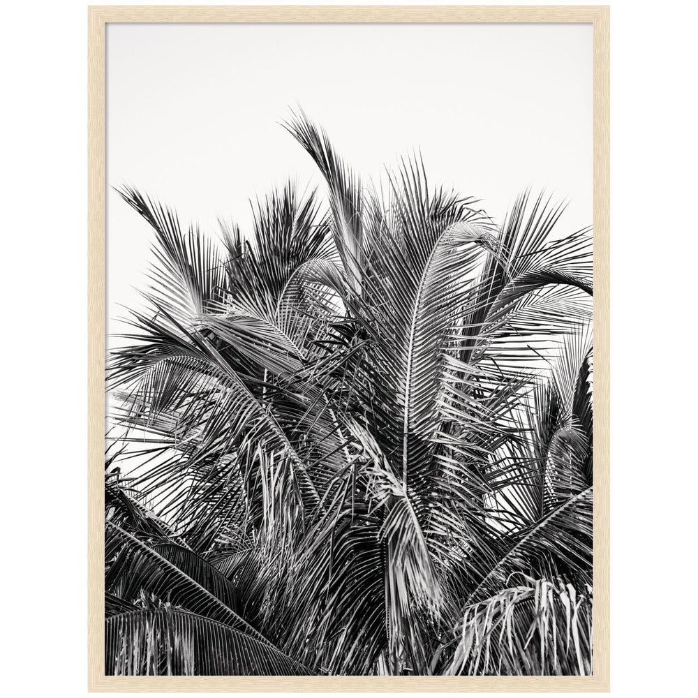 No 13 by Alicia Bock framed wall art print in black woodgrain frame hanging above a sofa