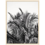 No 13 by Alicia Bock framed wall art print in black woodgrain frame hanging above a sofa