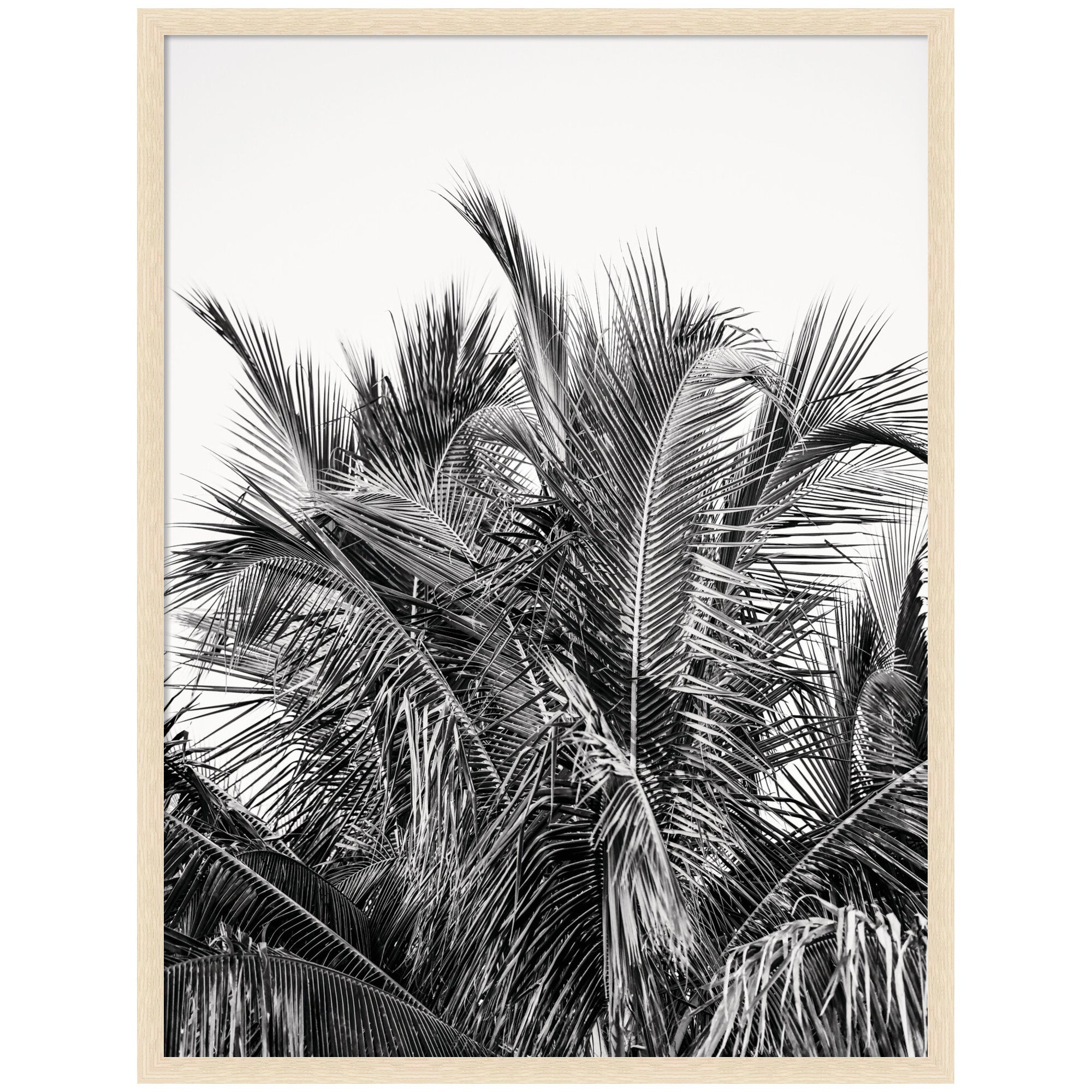 No 13 by Alicia Bock framed wall art print in black woodgrain frame hanging above a sofa