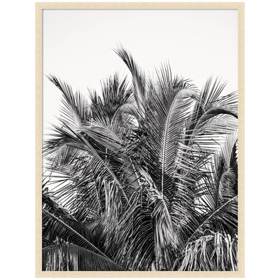 No 13 by Alicia Bock framed wall art print in black woodgrain frame hanging above a sofa