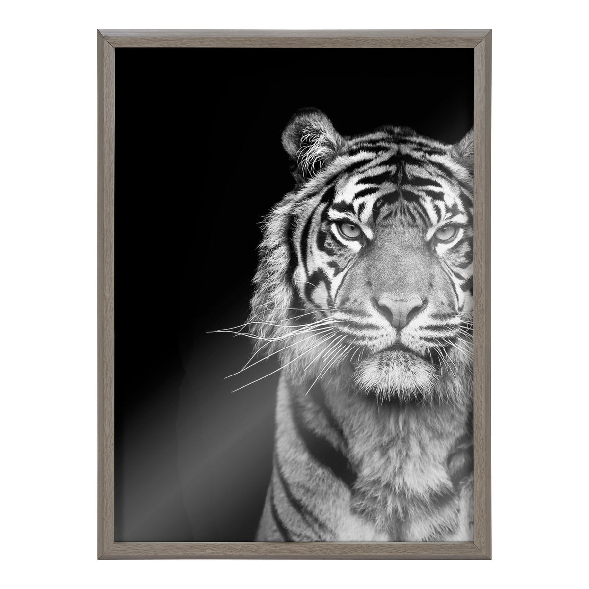 Black and white framed glass print of a tiger's face and upper body against a solid black background, showing detailed stripes and intense eyes.