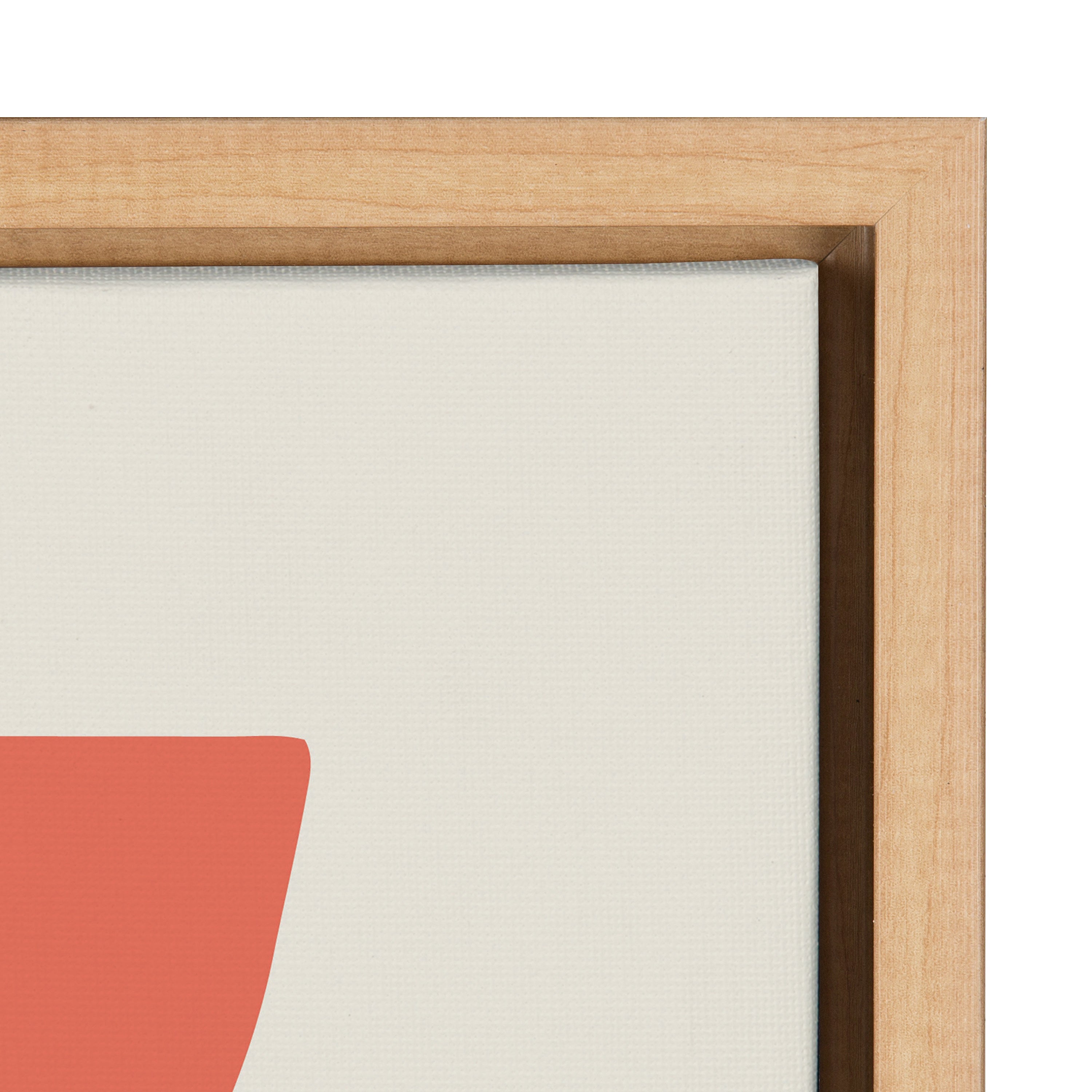 Sylvie Mid Century Succulents Framed Canvas by kateandlaurel - product image 17 for Resin Society