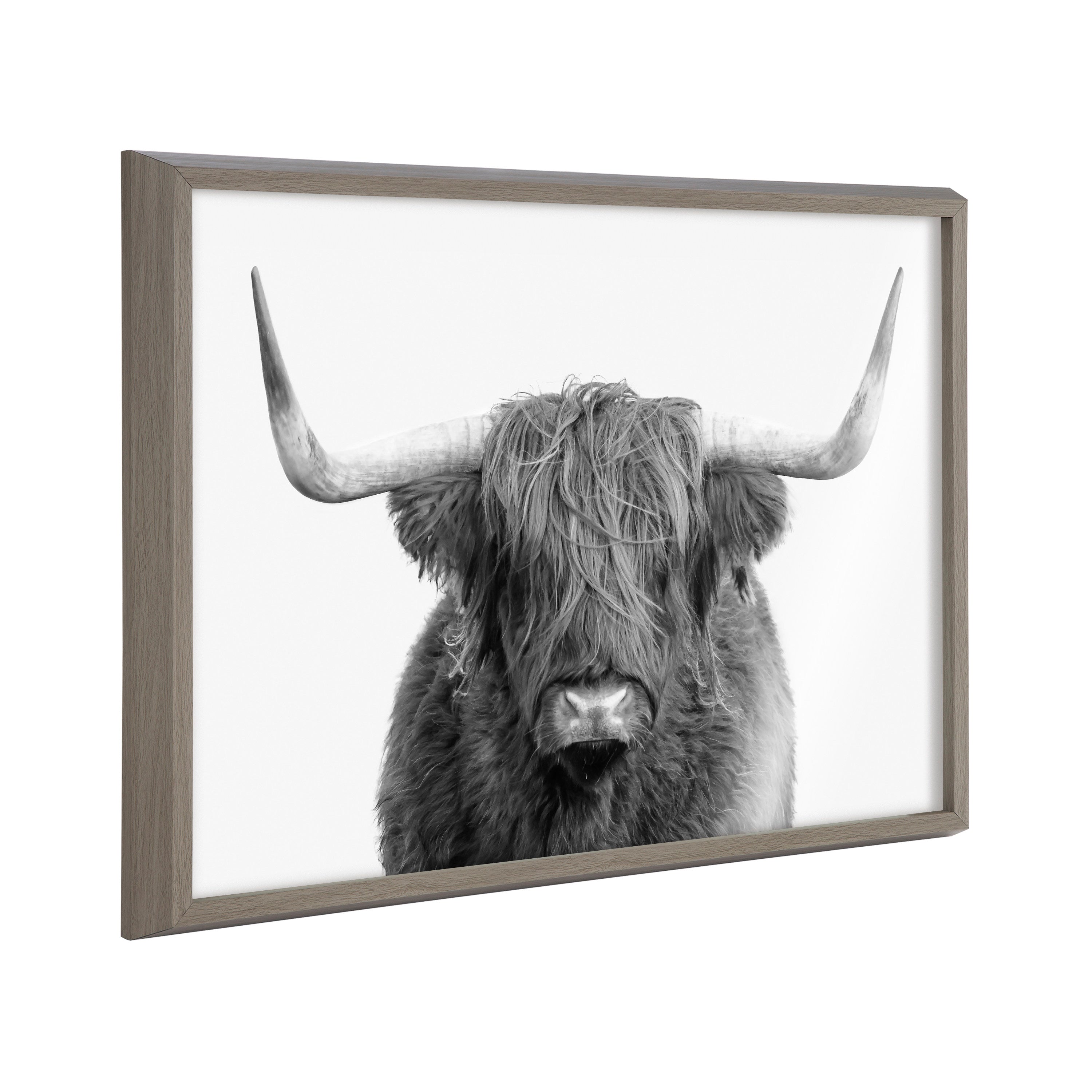 Blake Highland Cow Portrait Framed Printed Art by Amy Peterson Art Studio