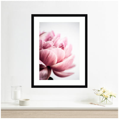 Pink Peony No1 by Mareike Bohmer Framed Wall Art Print
