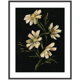 Framed painting of four creamy white flowers with green stems on a black background, showcasing a moody, naturalistic floral composition.