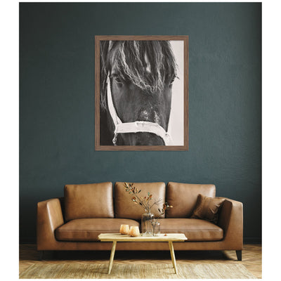 Black Horse by Emiko and Mark Franzen F2 Images Framed Wall Art Print