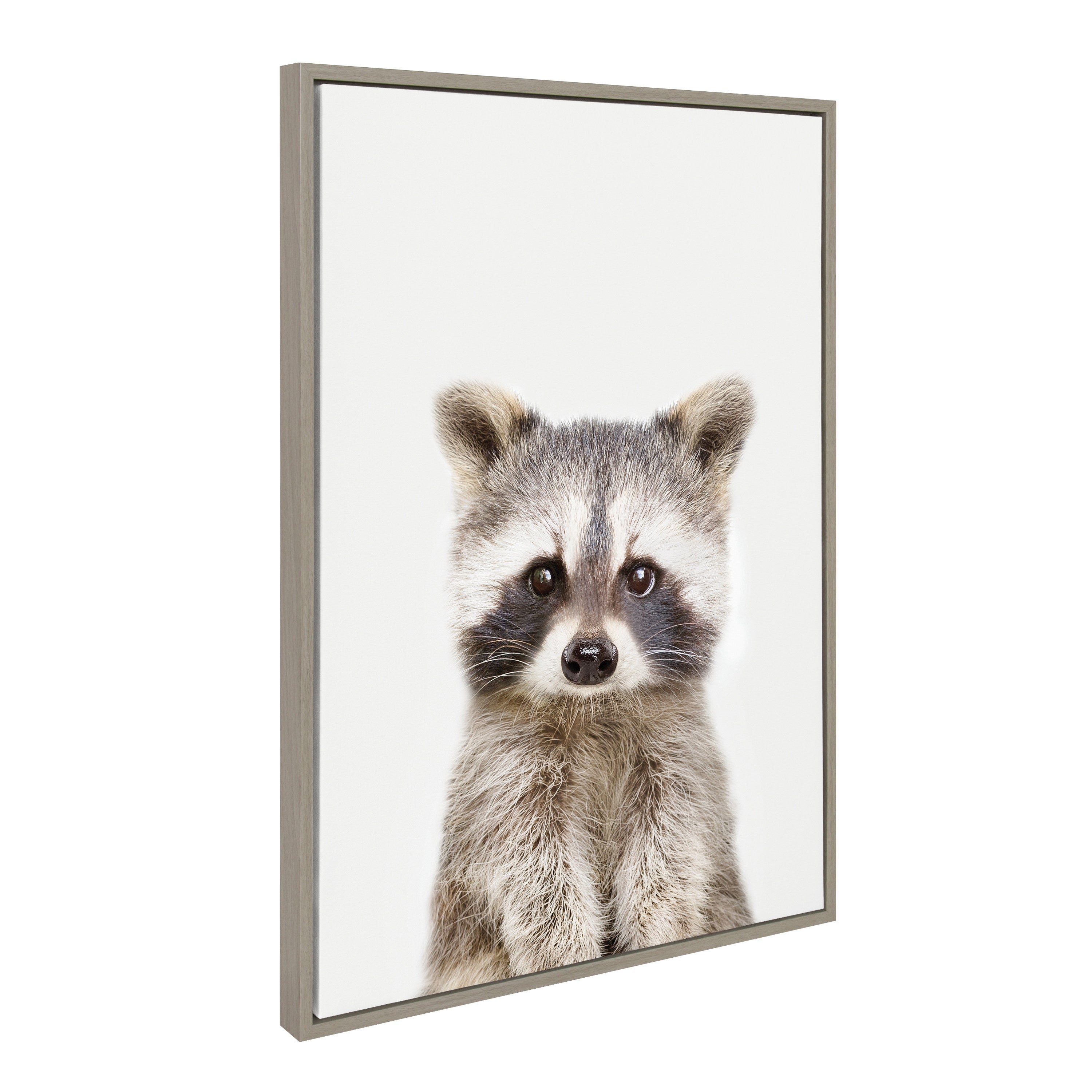 Sylvie Raccoon Framed Canvas by Amy Peterson Art Studio