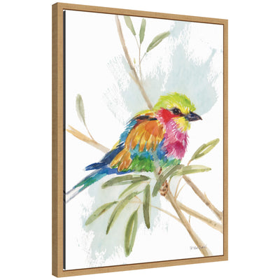 Bright Bird by Patricia Shaw framed canvas wall art print showing colorful bird on a dark patterned background
