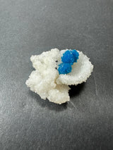 White, flower-shaped stilbite crystal cluster with two vibrant blue cavansite crystal balls nestled on top, displayed against a dark gray background.