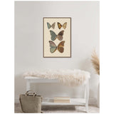 Framed illustration of six butterflies with muted green, brown, and yellow wings arranged on a cream background, hanging above a white bench with a sheepskin throw.