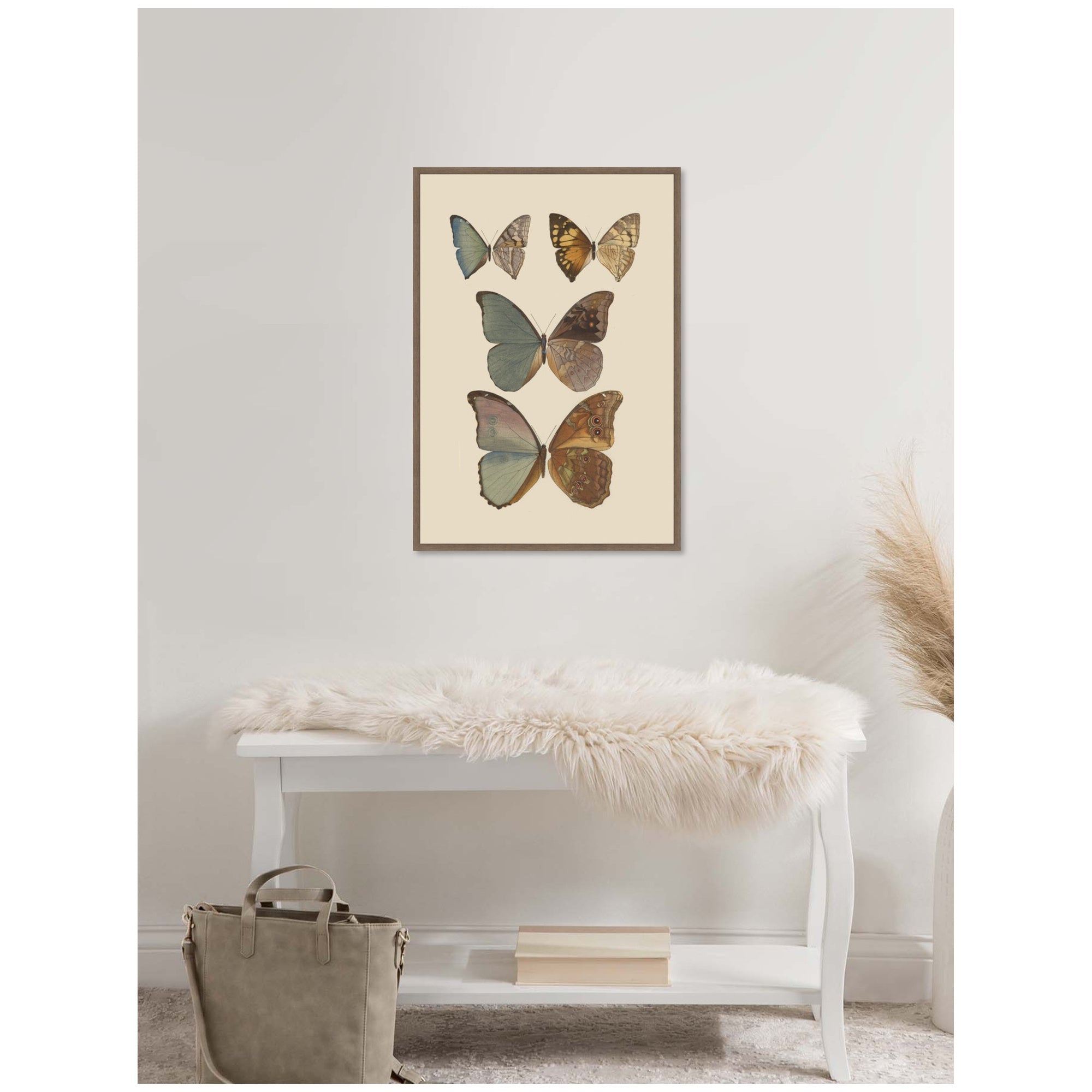 Exotische schmetterlinge Pl 067 by Otto Staudinger by Nostalgia Prints Framed Canvas Wall Art Print