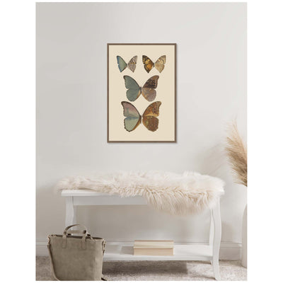 Exotische schmetterlinge Pl 067 by Otto Staudinger by Nostalgia Prints Framed Canvas Wall Art Print