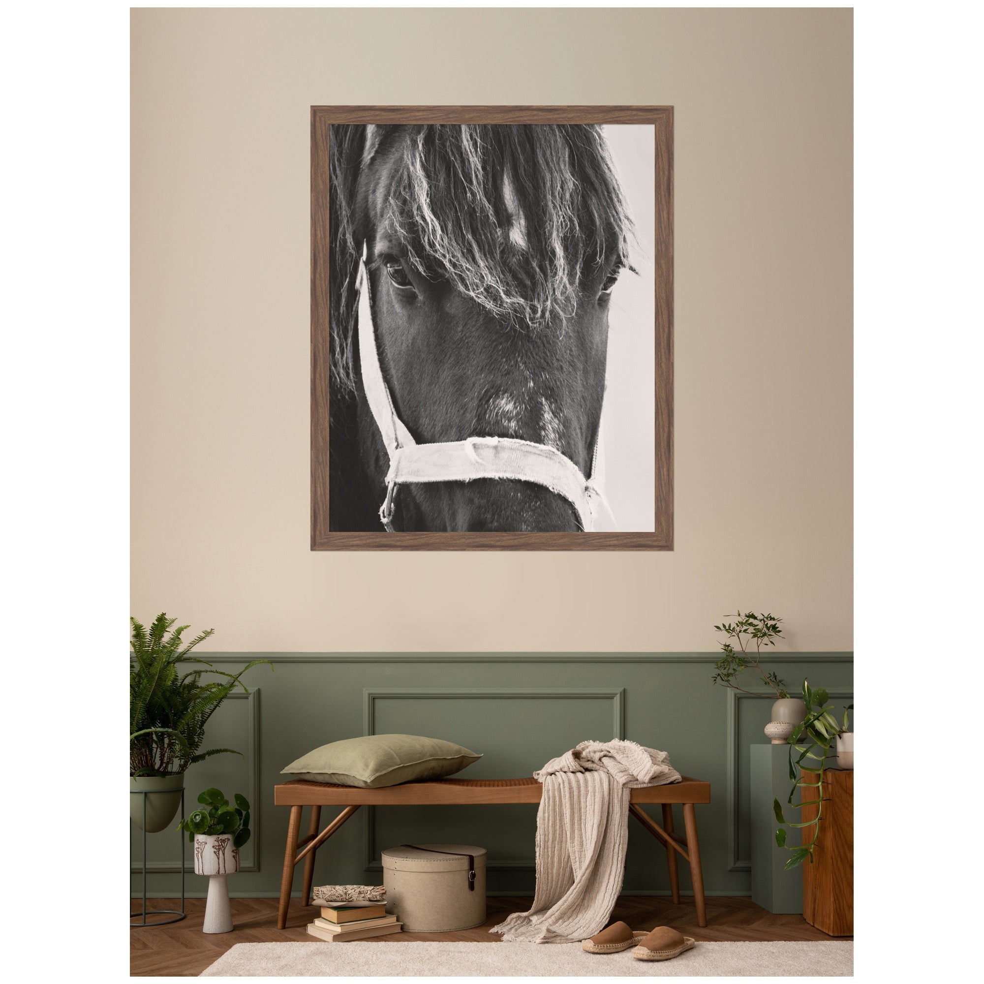Black Horse by Emiko and Mark Franzen F2 Images Framed Wall Art Print