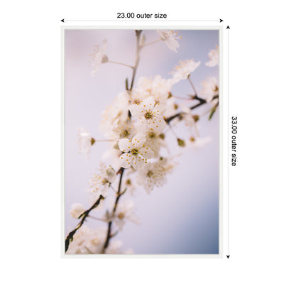 Sylvie Nature White Floral Blooms Framed Canvas by Patricia Hasz