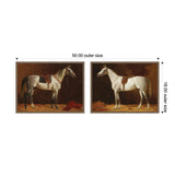 Two framed canvas prints each depicting a white horse with a brown saddle against a brown background, arranged side by side with a combined width of 50 inches and height of 18 inches.