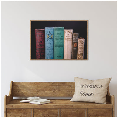 Sylvie Vintage Classic Books Framed Canvas by Patricia Hasz