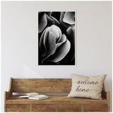 Close-up black and white photograph of layered flower petals in soft focus, framed and hung above a rustic wooden bench with an open book and a 'welcome home' pillow.