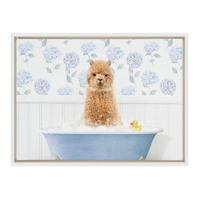 Sylvie Baby Alpaca in Hydrangea Bubble Bathtub Framed Canvas by Amy Peterson