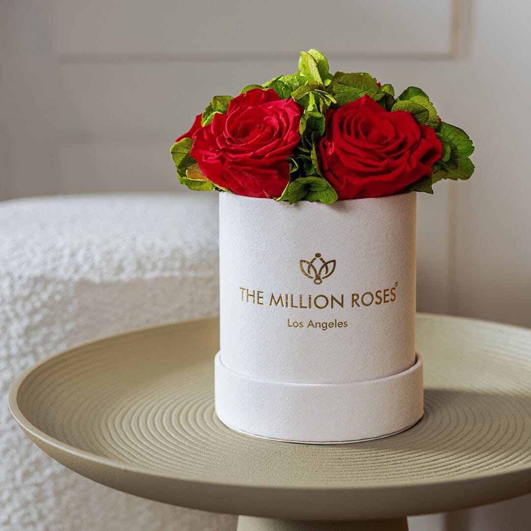 Essence Beige Suede Garden Box featuring five preserved red roses surrounded by lush hydrangea in a beige suede box