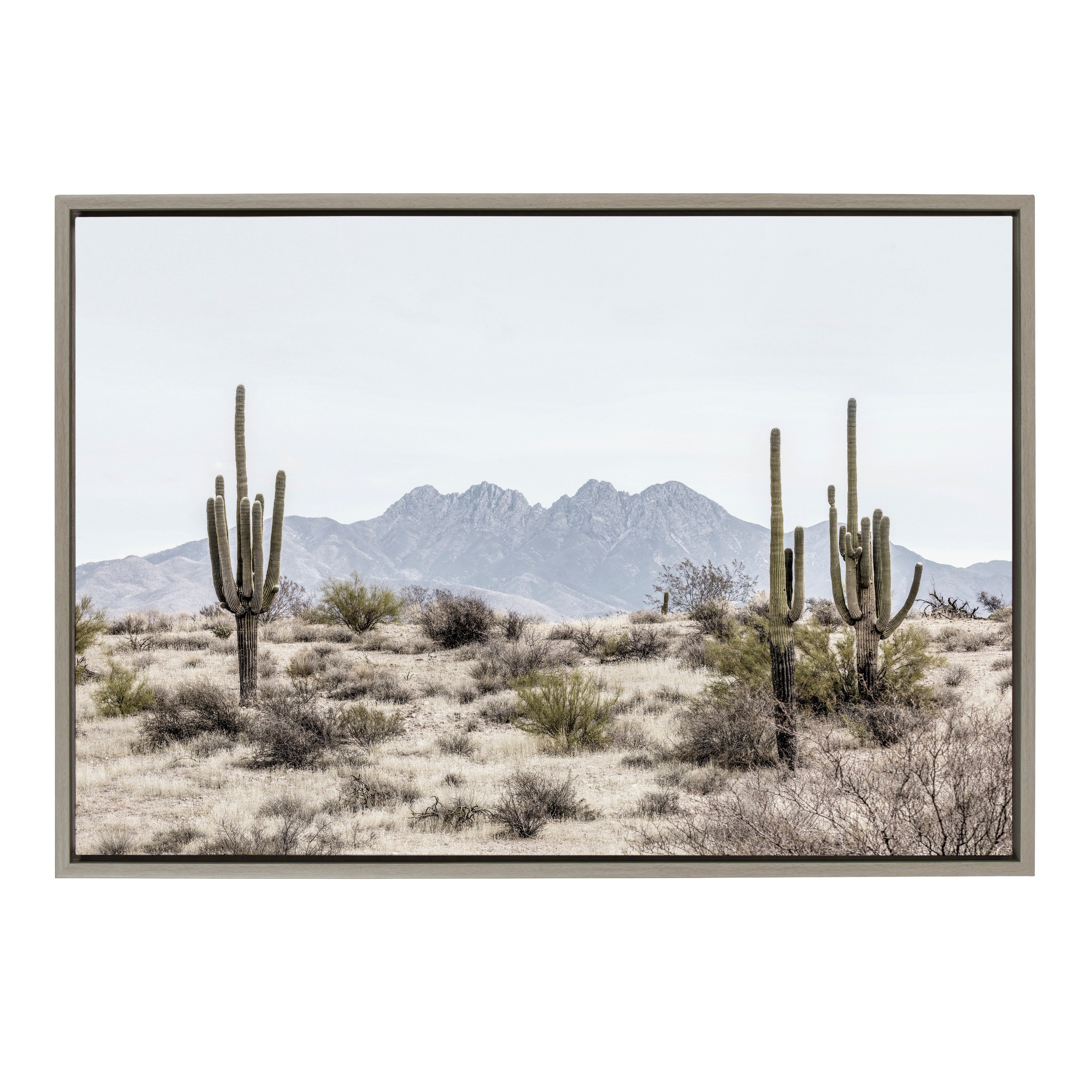 Sylvie Tall Saguaro Cacti Desert Mountain Framed Canvas by kateandlaurel - product image 14 for Resin Society