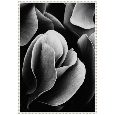 Sylvie Black and White Flower Petals Framed Canvas by Emiko and Mark Franzen of F2Images