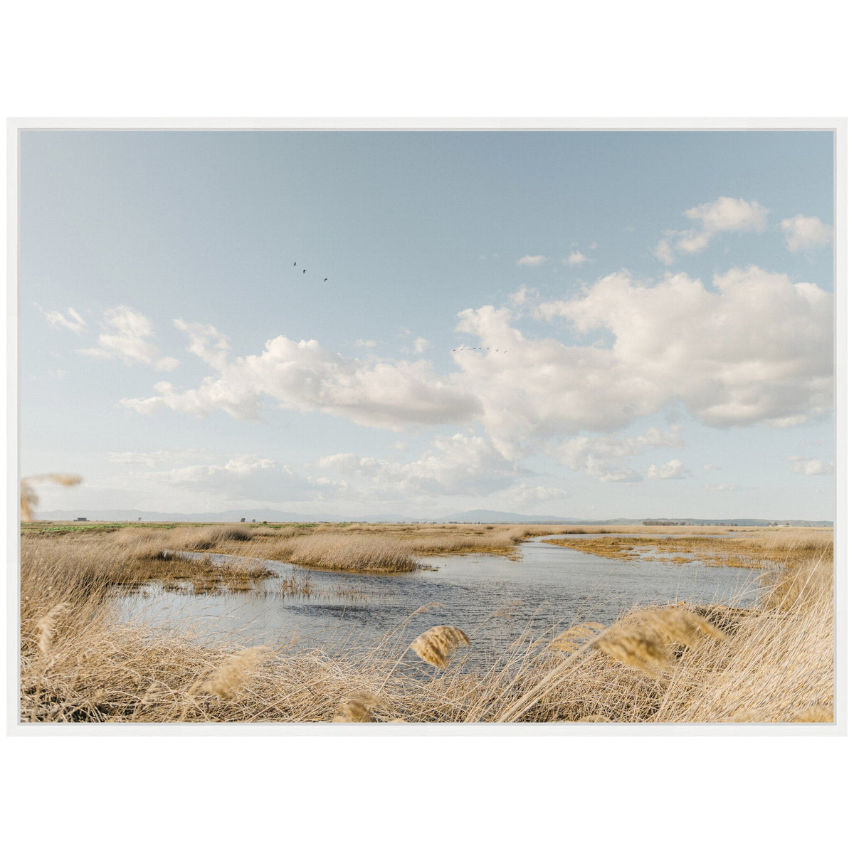 Serene marshland with golden grasses surrounding calm water under a pale blue sky dotted with soft white clouds and three flying birds.